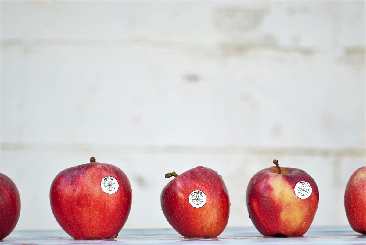 apple sticker mockup